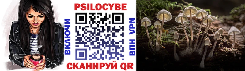 Галлюциногенные грибы Psilocybine cubensis Ардон