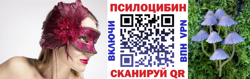 где купить наркотик  mega маркетплейс  Псилоцибиновые грибы Cubensis  Ардон 